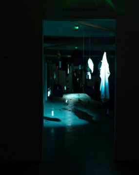 The Forest Is The Museum installation