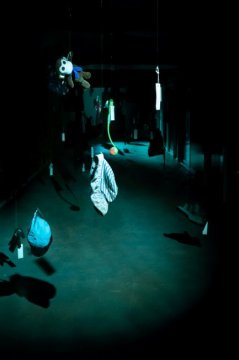 The Forest Is The Museum installation