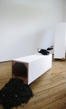 Magpie