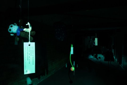The Forest Is The Museum installation