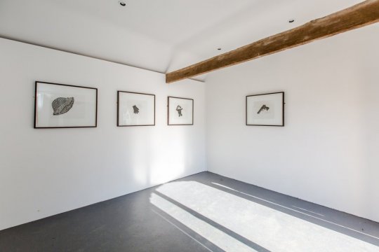 The Forest Is The Museum installation