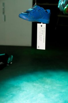 The Forest Is The Museum installation