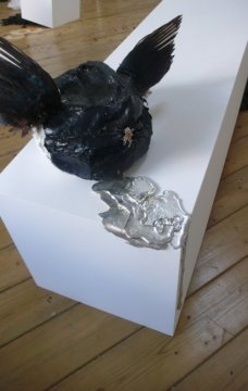 Magpie