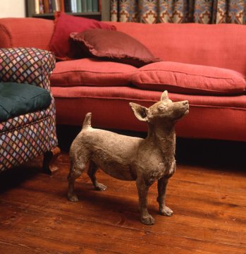 Concrete Dog