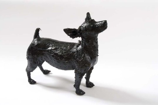 Black Dog