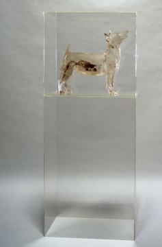 Perspex Dog