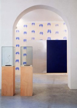 Ink Pad (blue), Bottom wallpaper ( blue), I Spy 
