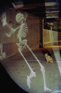 Juggling Skeleton