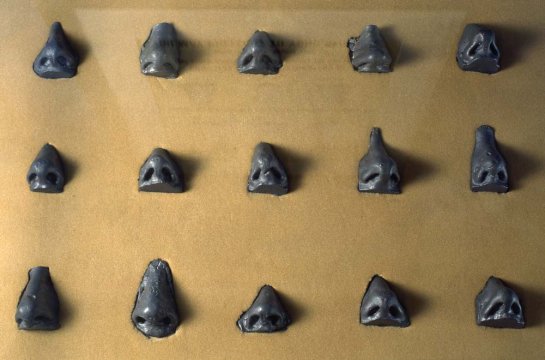 Lead by the Nose, (detail) Complete Arthole