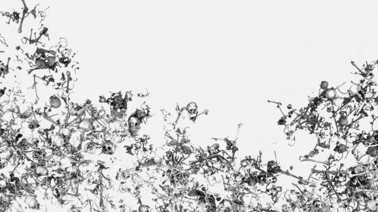 Pollocks Bones 3