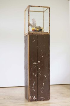 Self Portrait as a Pheasant