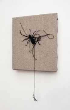 False Widow