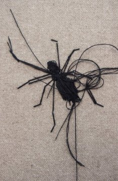 False Widow (detail)