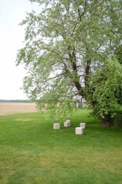 Underneath the Abject Willow