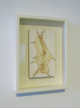 Sausage Pelt 1994