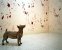 Concrete Dog