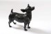 Black Dog