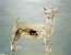 Perspex Dog